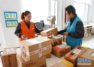 电商产业为河北肃宁铺就致富新路